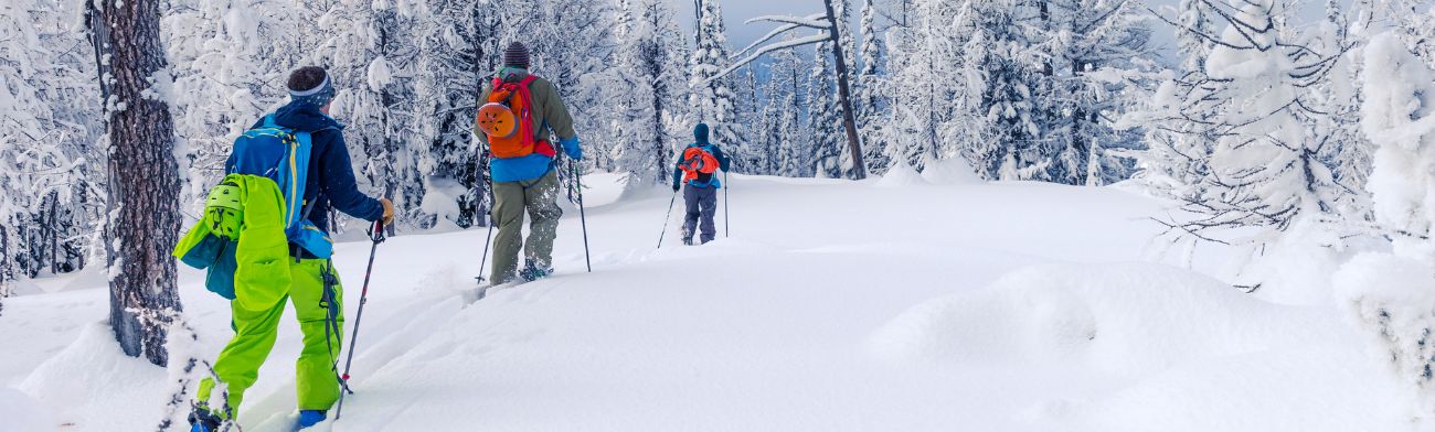 kullu manali tour package