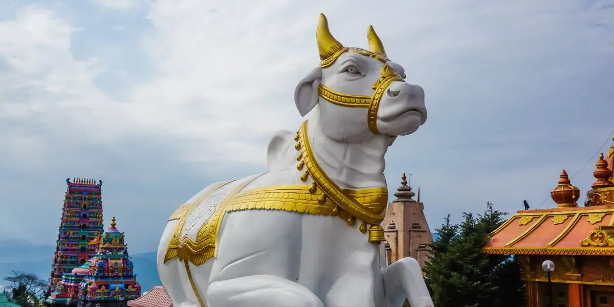 chardham yatra tour package from haridwar​